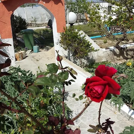 Nikos Studios *